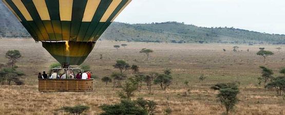 Wildlife safaris tanzania