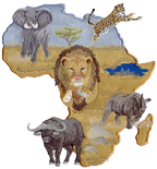 Spot Africa Big Five all in Tanzania