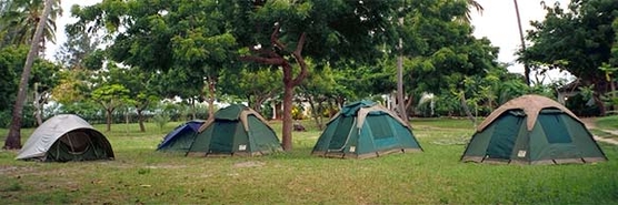 Camp sites in Manyara
