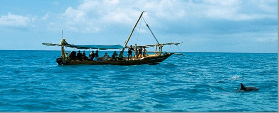 Dolphin tour in Zanzibar